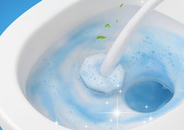 a toilet wand cleaning a toilet 