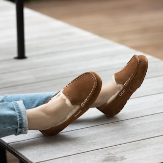 tan ugg slippers
