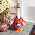 NCAA Football Jersey Goose Outfit