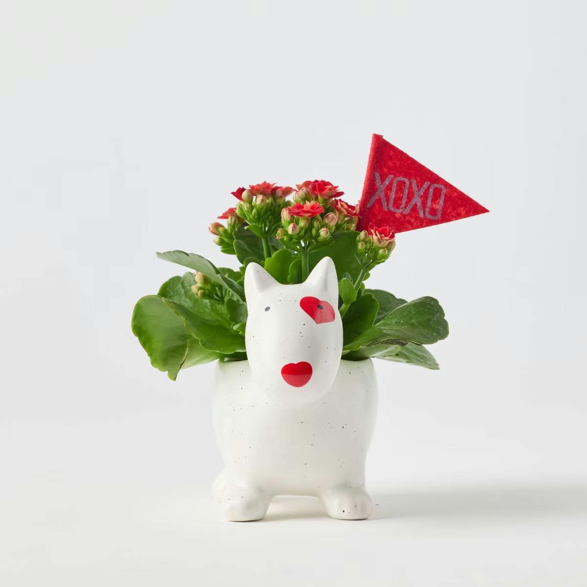 Valentine's Day Bullseye Dog Planter