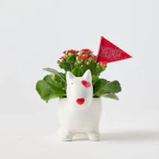 Valentine's Day Bullseye Dog Planter