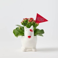 Valentine's Day Bullseye Dog Planter