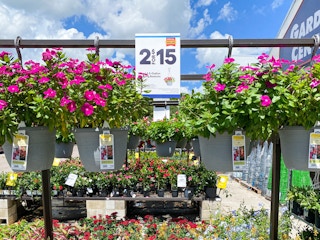 hanging flower baskets at Lowe's
