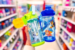 Zak Designs Water Bottles, as Low as $3.79 at Target (Sonic, Bluey, More) card image