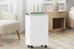 dehumidifier