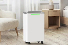 dehumidifier