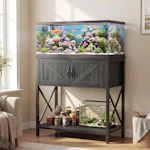 Fish Tank Stand