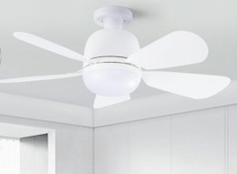a ceiling fan light in a room