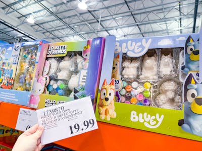 Bluey or Hello Kitty Painting Kit
