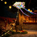 Solar Butterfly Lights