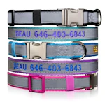 Personalized Dog Collar