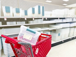 Brightroom Storage Bins on Sale, Starting at $0.95 at Target card image