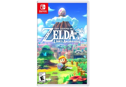 Nintendo Switch Zelda Game