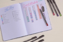 Ballpoint Colored Pen 25-Pack, as Low as $4.49 on Amazon card image