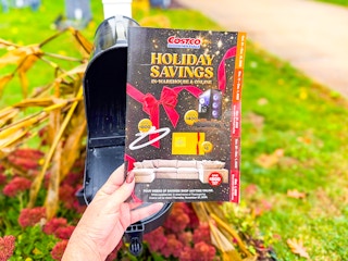 costco-black-friday-ad-2025-5