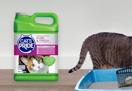 litter next to litterbox
