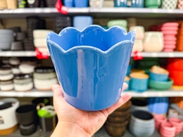 Walmart Ceramic Planters Start at $1.98 (But They Look Way More Expensive) card image