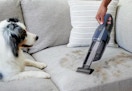 shark cyclone pet cordless hand vacuum
