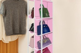 closet organizer holding purses