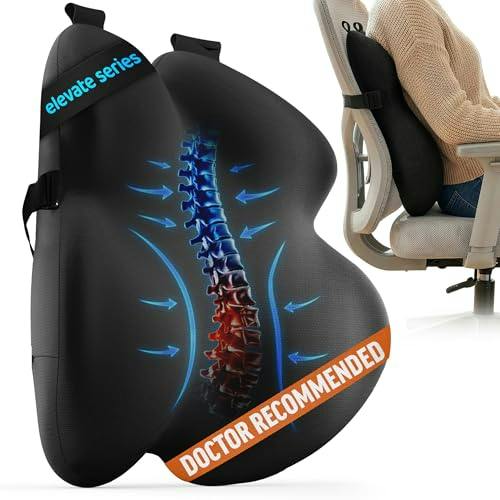 Everlasting Comfort Lumbar Pillow