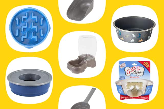 Discounted Pet Feeding Supplies — All Under $10 at Walmart card image