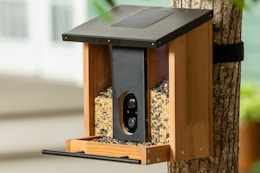 Smart Solar Bird Feeder, Just $110 With Free Shipping at Costco card image