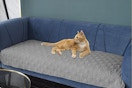 a cat on a couch cover