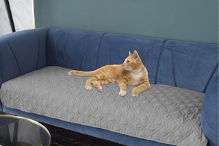 a cat on a couch cover