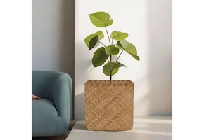 Member's Mark Woven Planter