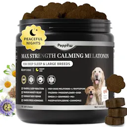 Melatonin for Dogs