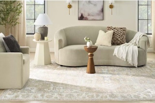 Target Nourison area rug