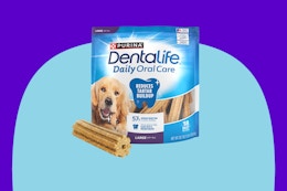 Dentalife Large Dog Dental Chews