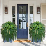Artificial Ferns
