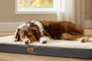 Orthopedic Foam Dog Bed Comfy Flat Pet Beds with Removable Washable Cover, Orthopedic Egg Crate