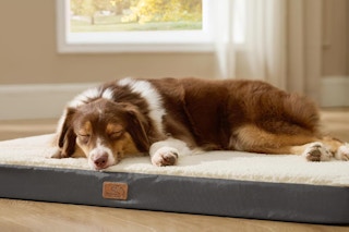 Orthopedic Foam Dog Bed Comfy Flat Pet Beds with Removable Washable Cover, Orthopedic Egg Crate