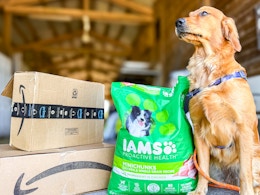 Iams 30-Pound Dog Food, as Low as $33.82 for Amazon Pet Day card image