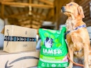 iams dog food