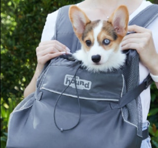 amazon dog carrierjpg 1683403108 1683403108