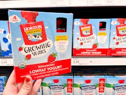 A hand holding a box of Horizon Organic Growing Years Lowfat Yogurt at Target