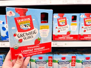 A hand holding a box of Horizon Organic Growing Years Lowfat Yogurt at Target