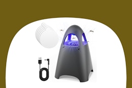 Indoor Flying Insect Trap, Just $10 on Amazon (Reg. $40) card image