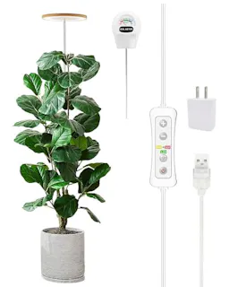 Plant Grow Light