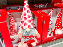 valentines day aldi gnomes