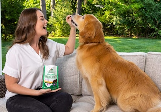 amazon greenies immune chews 2022 2 1643465143 1643465143