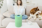 bright green air purifier on coffee table