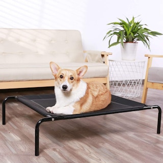 amazon raised dog bed 1629380285 1629380285