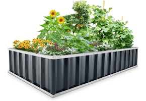 King Bird Raised Garden Bed