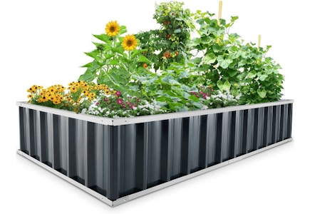 King Bird Raised Garden Bed