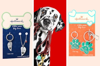 Hallmark Pet Tag Sets: Keychains or necklace with tag for pet