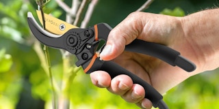 A hand using pruning shears to clip a branch